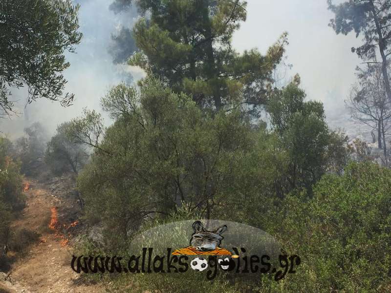 ΦΩΤΟ από allaksogolies.gr