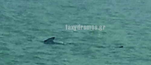 ΦΩΤΟ από taxydromos.gr
