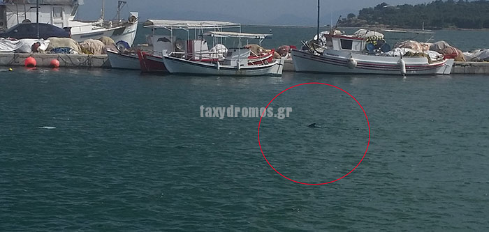 ΦΩΤΟ από taxydromos.gr