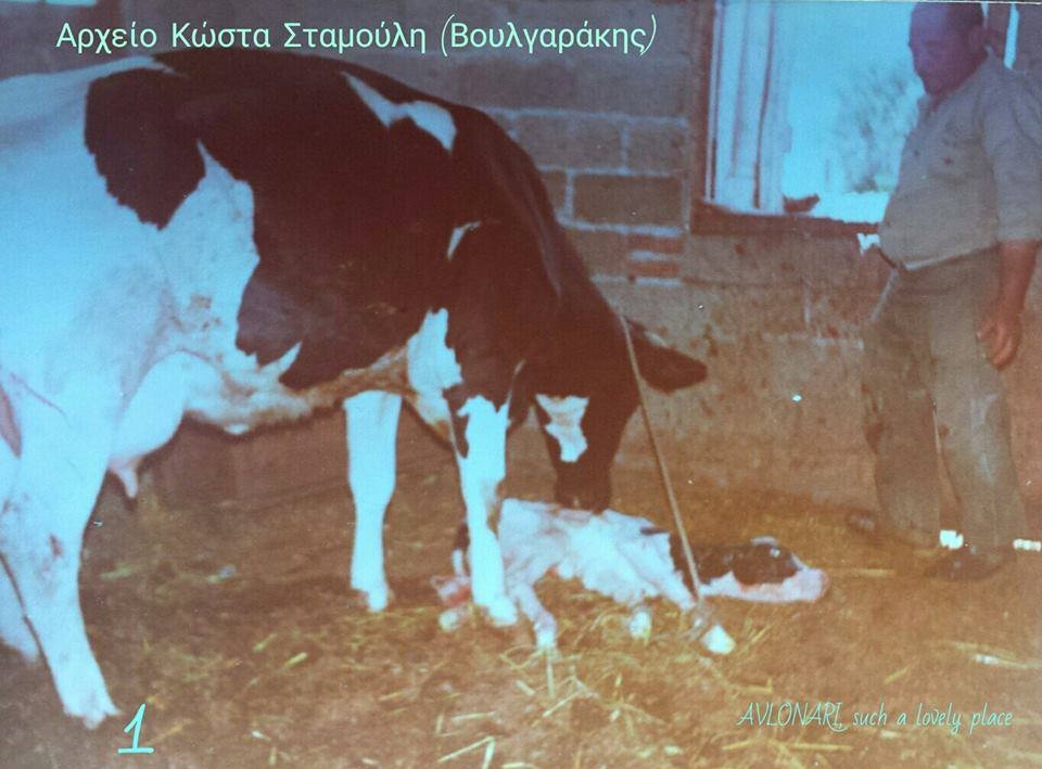 ΦΩΤΟ από evianews.com - Αρχείο Κώστα Σταμούλη