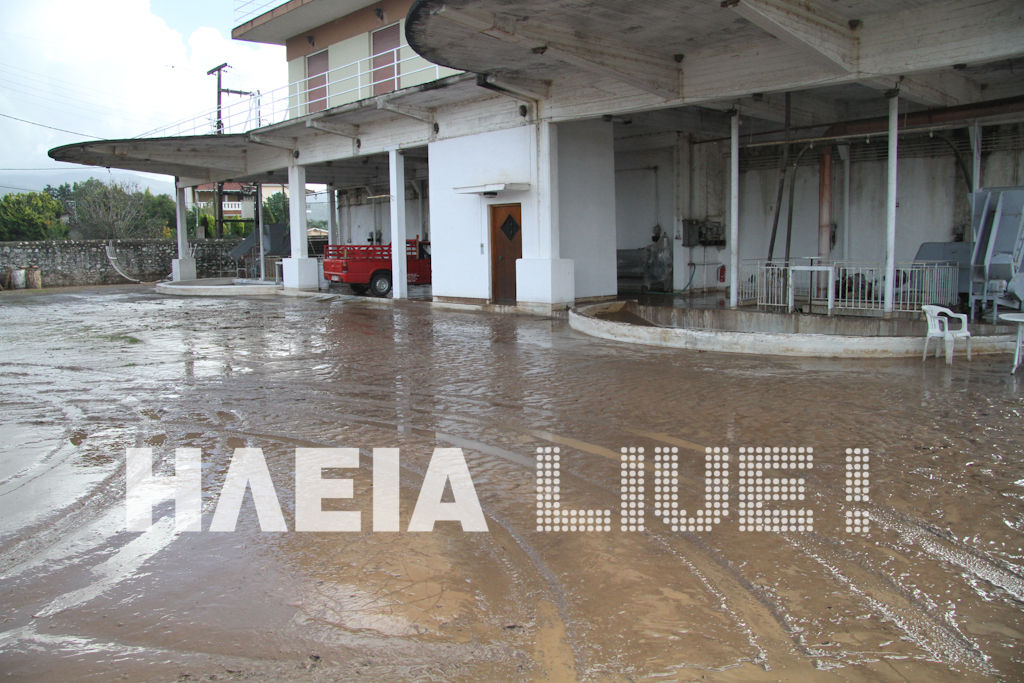 ΦΩΤΟ από ilialive.gr