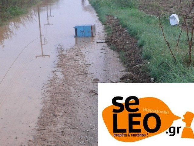 ΦΩΤΟ από seleo.gr