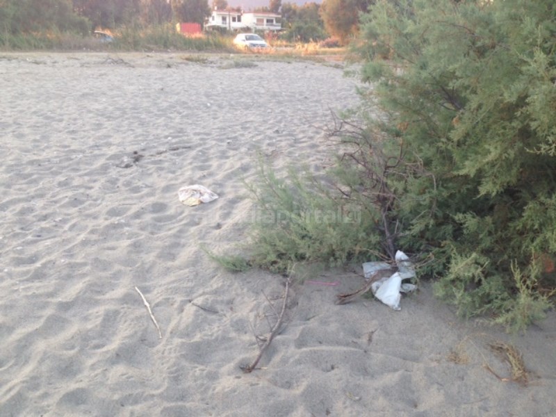 ΦΩΤΟ από arcadiaportal.gr