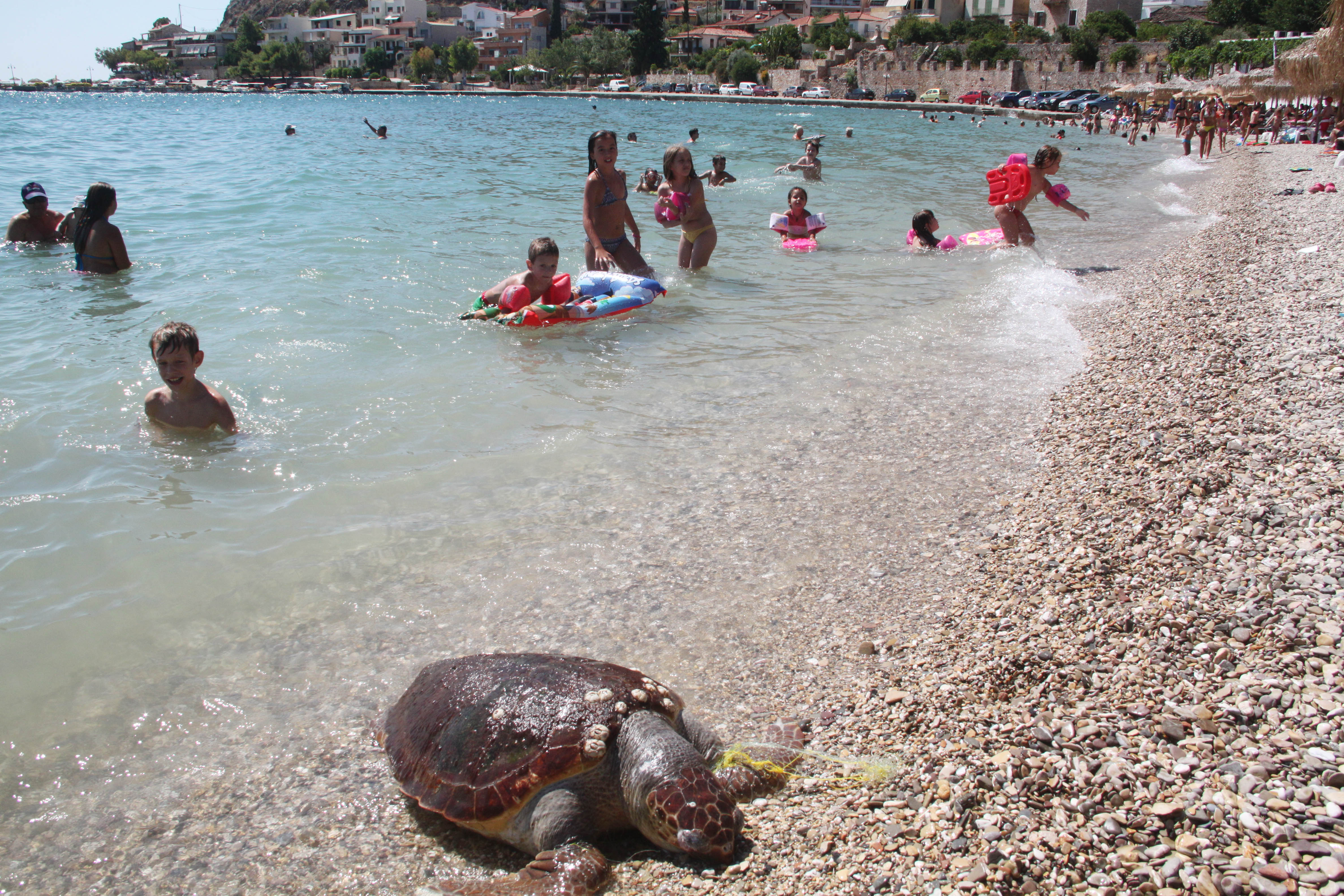 ΦΩΤΟ EUROKINISSI