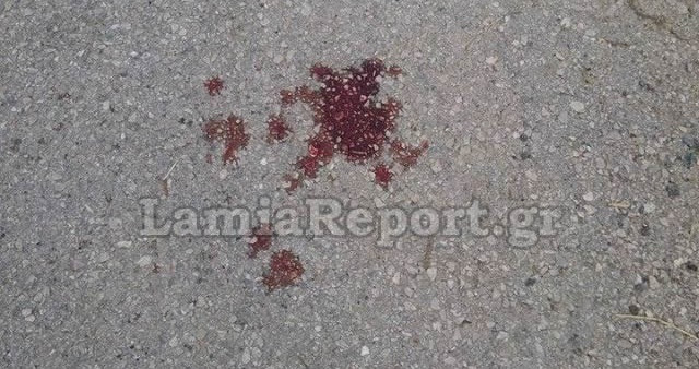 ΦΩΤΟ από lamiareport.gr