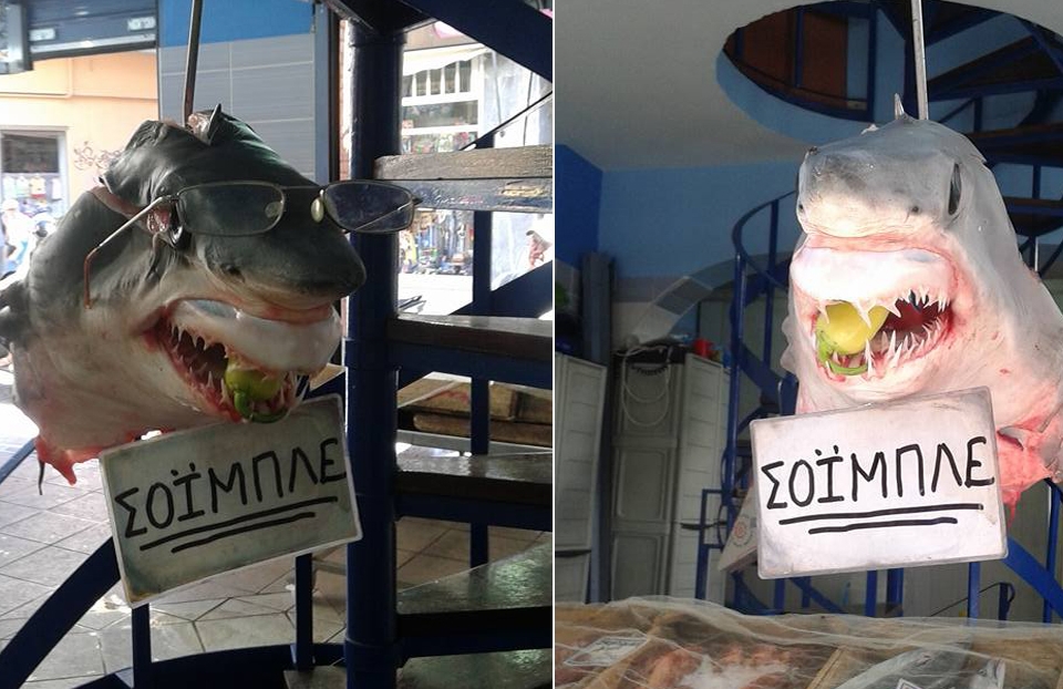 ΦΩΤΟ από lesvosnews.gr