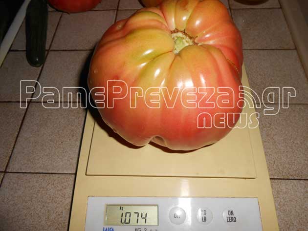 ΦΩΤΟ από pamepreveza.gr