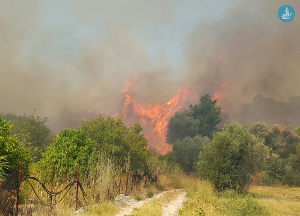 ΦΩΤΟ από dimokratiki.gr