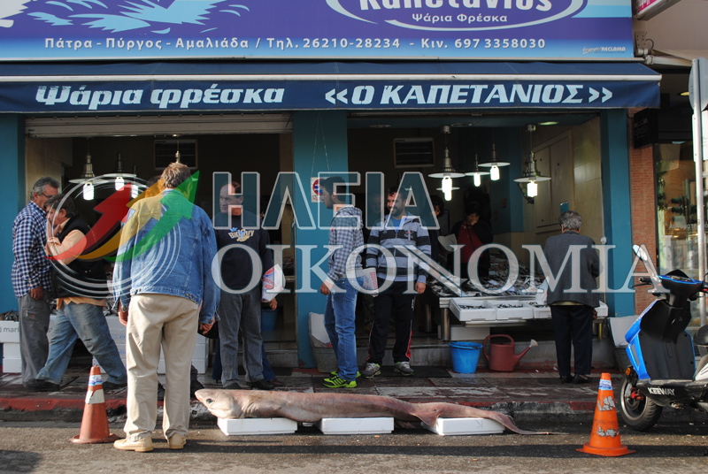 ΦΩΤΟ από iliaoikonomia.gr