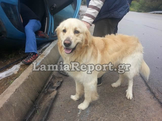 ΦΩΤΟ από lamiareport.gr