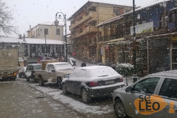 ΦΩΤΟ από seleo.gr