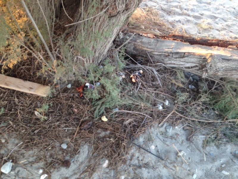 ΦΩΤΟ από arcadiaportal.gr