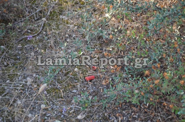 ΦΩΤΟ από lamiareport.gr