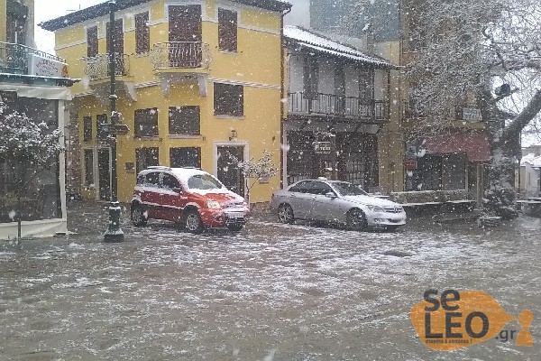 ΦΩΤΟ από seleo.gr