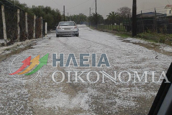 ΦΩΤΟ από iliaoikonomia.gr