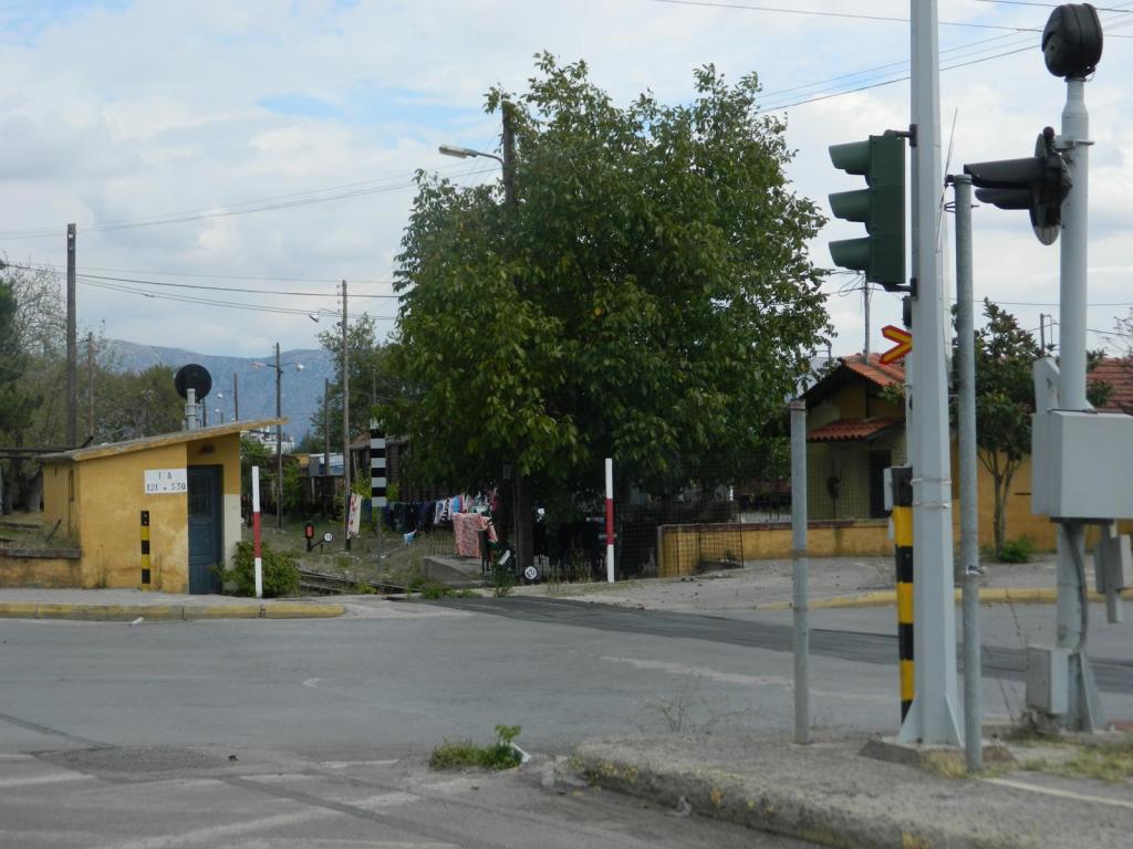 ΦΩΤΟ από kalimera-arkadia.gr