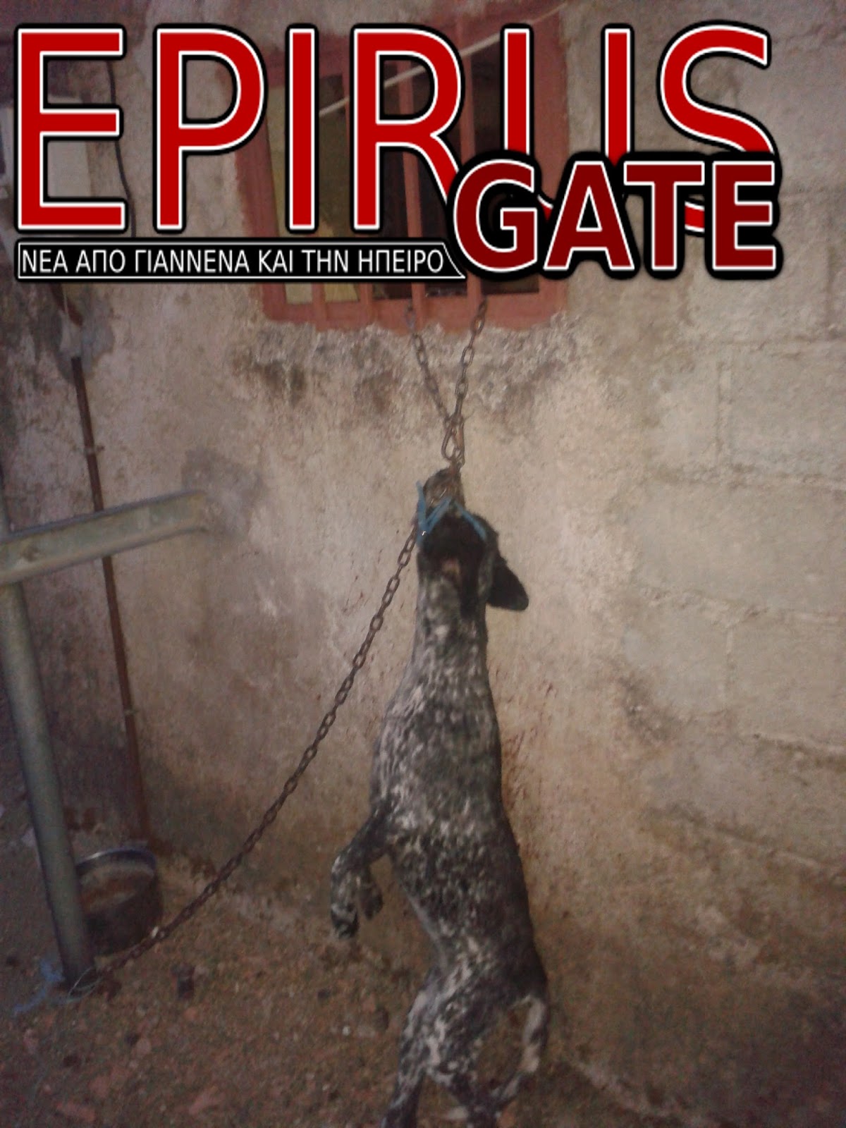 ΦΩΤΟ από epirusgate
