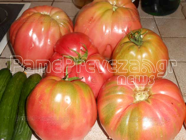 ΦΩΤΟ από pamepreveza.gr