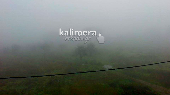 ΦΩΤΟ από kalimera-arkadia.gr