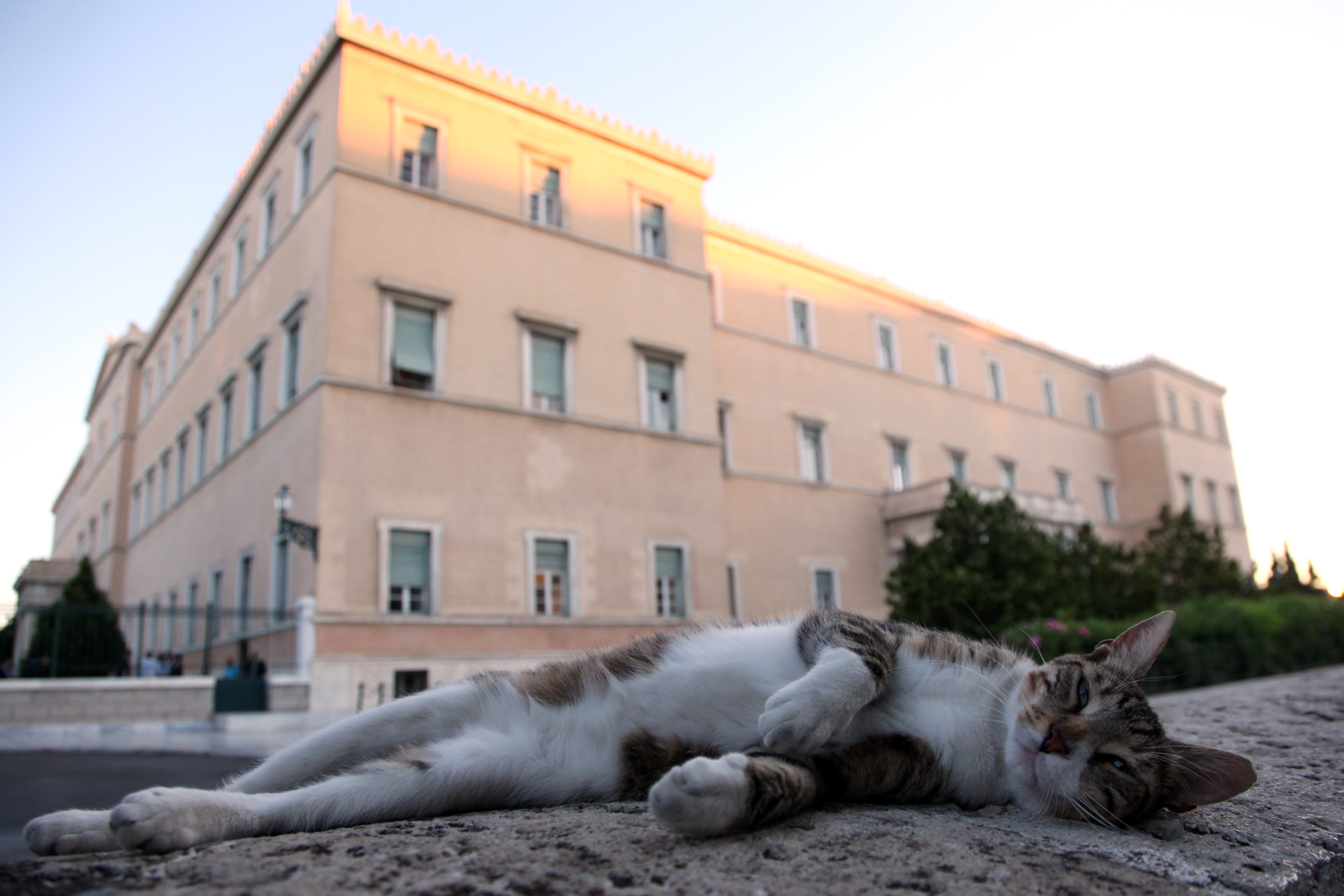 “Ωραία, έχουμε κυβέρνηση. Τώρα μπορώ να κοιμηθώ ήσυχος”