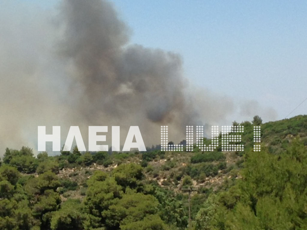 ΦΩΤΟ από το iliaLive