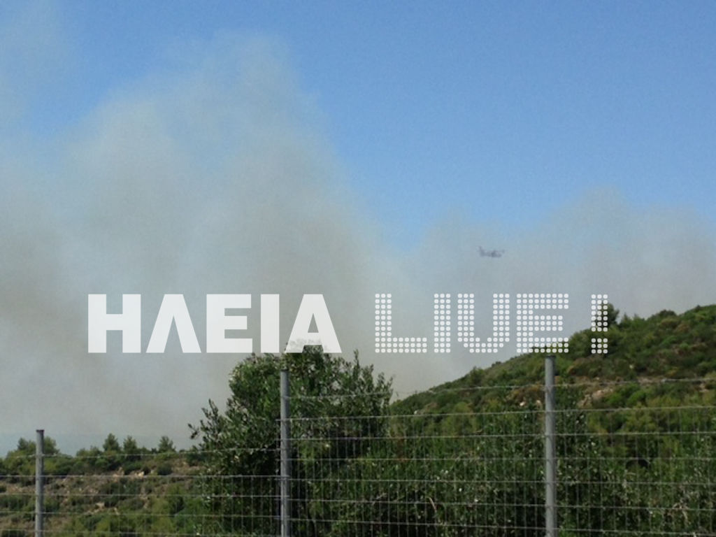 ΦΩΤΟ από το iliaLive