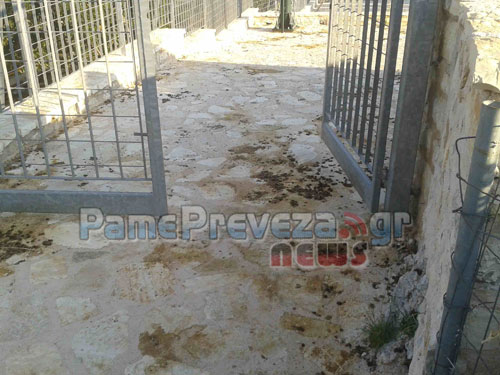 ΦΩΤΟ από το PamePreveza
