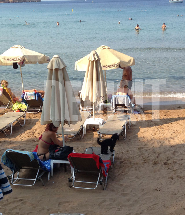 Και ο τετράποδος φίλος έχει δικαίωμα στο μπάνιο! - ΦΩΤΟ NEWSIT