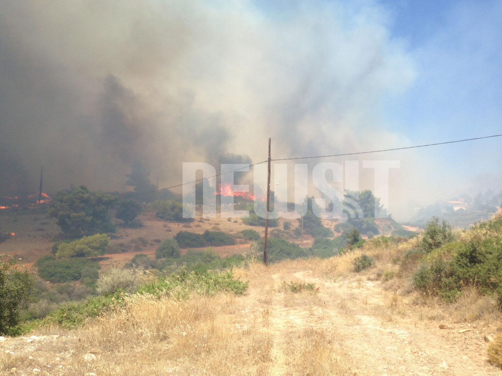 Η φωτιά κατακαίει δασική έκταση - ΦΩΤΟΓΡΑΦΙΕΣ NEWSIT