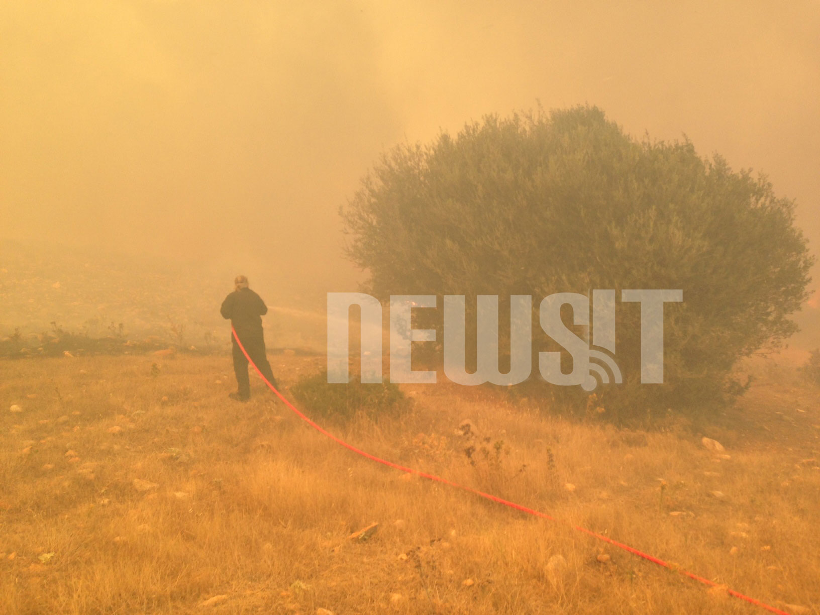 Τιτάνια η προσπάθεια των πυροσβεστών αλλά ο αέρας βοηθάει τη φωτιά - ΦΩΤΟΓΡΑΦΙΑ NEWSIT