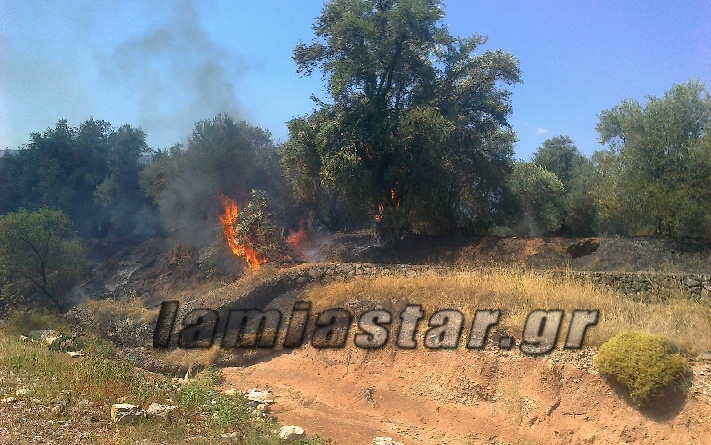 ΦΩΤΟ από το LamiaStar