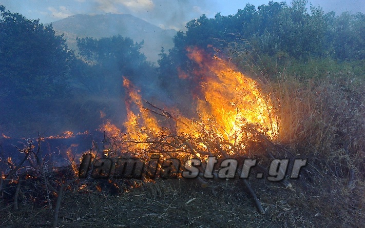 ΦΩΤΟ από το LamiaStar