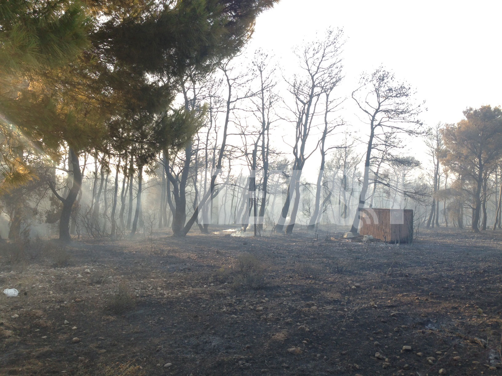 Οι κάτοικοι της περιοχής δηλώνου βέβαιοι πως πρόκειται για εμπρησμό - ΦΩΤΟΓΡΑΦΙΑ NEWSIT