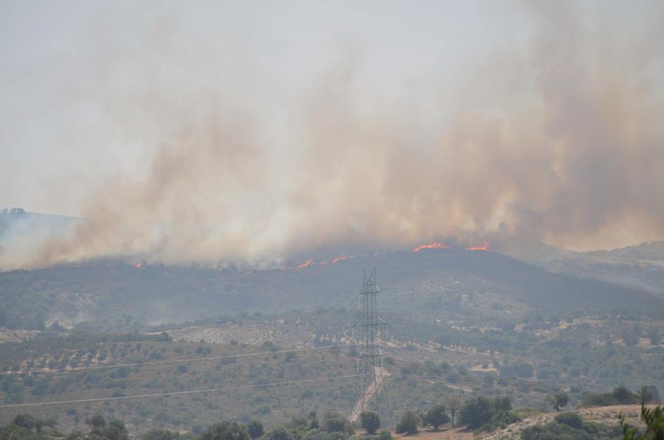 To μέτωπο της φωτιάς είναι μεγάλο - ΦΩΤΟ από το EviaGreen