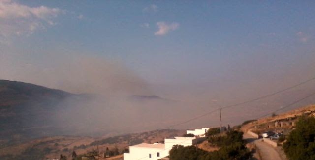 Καπνός έχει καλύψει ολόκληρη την περιοχή - ΦΩΤΟ από το plektani.gr