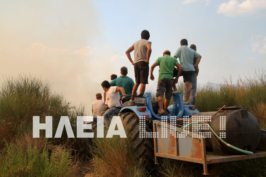 Εικόνα από το iliaLive