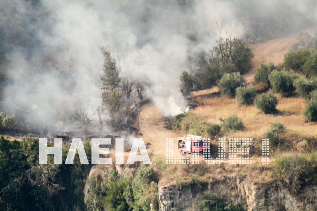 Εικόνα από το iliaLive