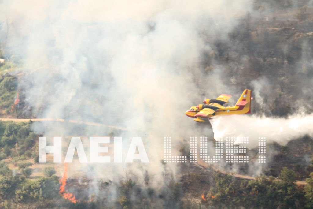 Εικόνα από το iliaLive
