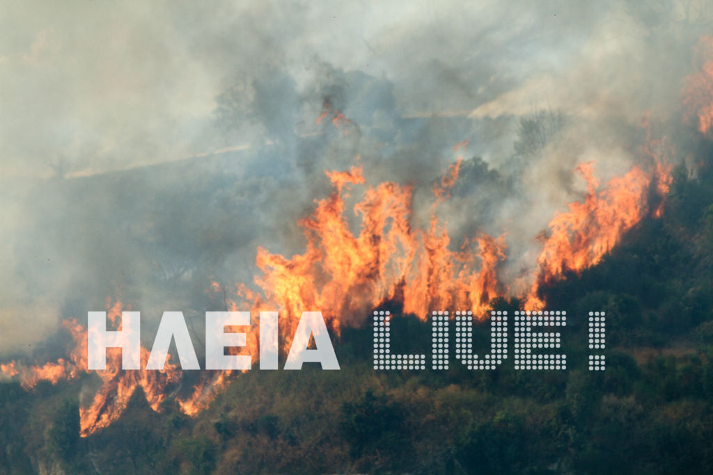 Εικόνα από το iliaLive