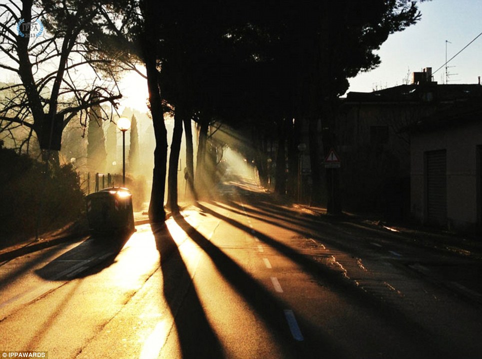 Πρώτη  Θέση (φύση): Tomas Stankiewicz Baldassarri, Τοσκάνη