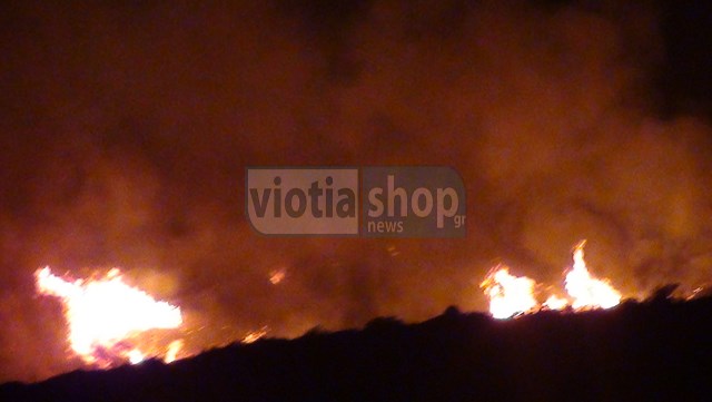 Όλη νύχτα έκαιγε τα πάντα στο διάβα της - ΦΩΤΟΓΡΑΦΙΑ VIOTIASHOP