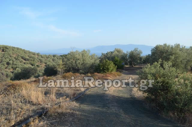ΦΩΤΟ LAMIAREPORT