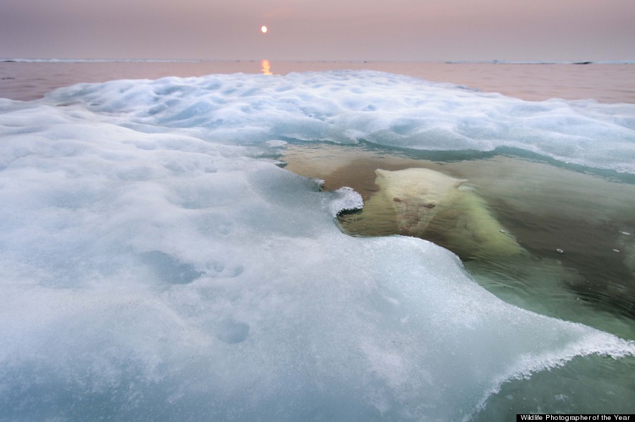Paul Souders