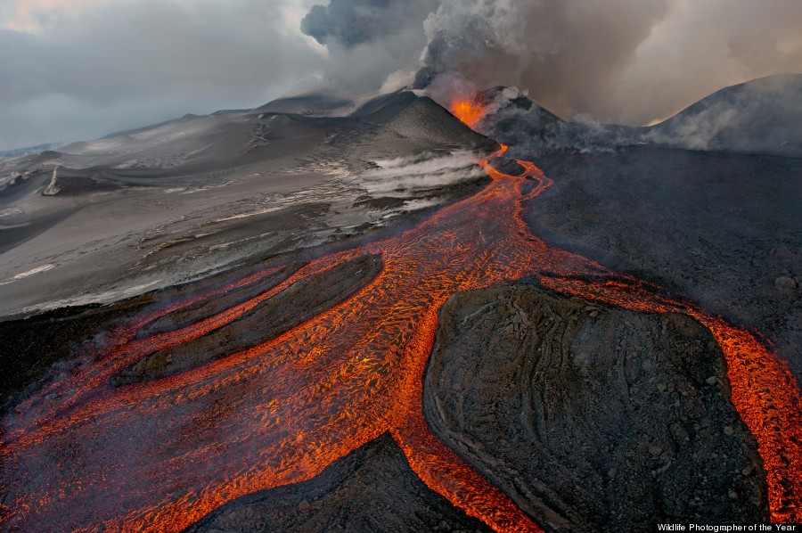 Sergey Gorshkov