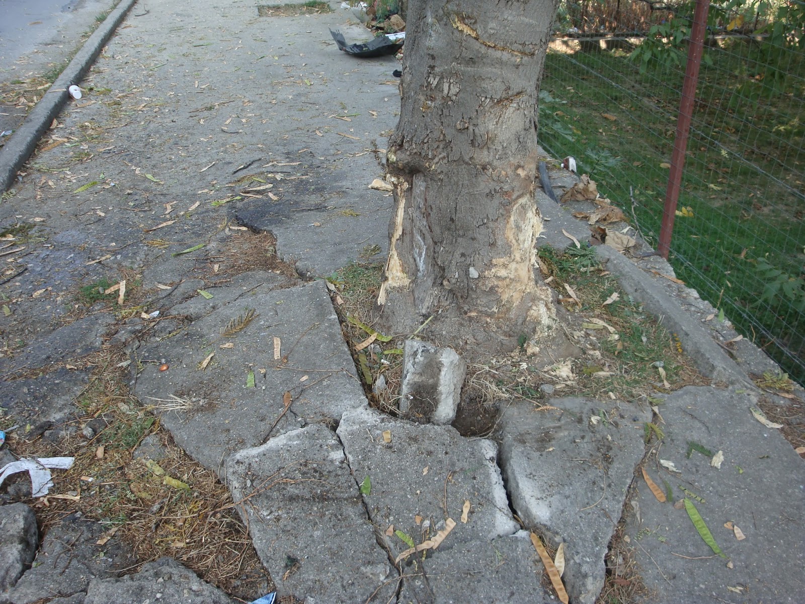 ΦΩΤΟ από το ThrakiToday