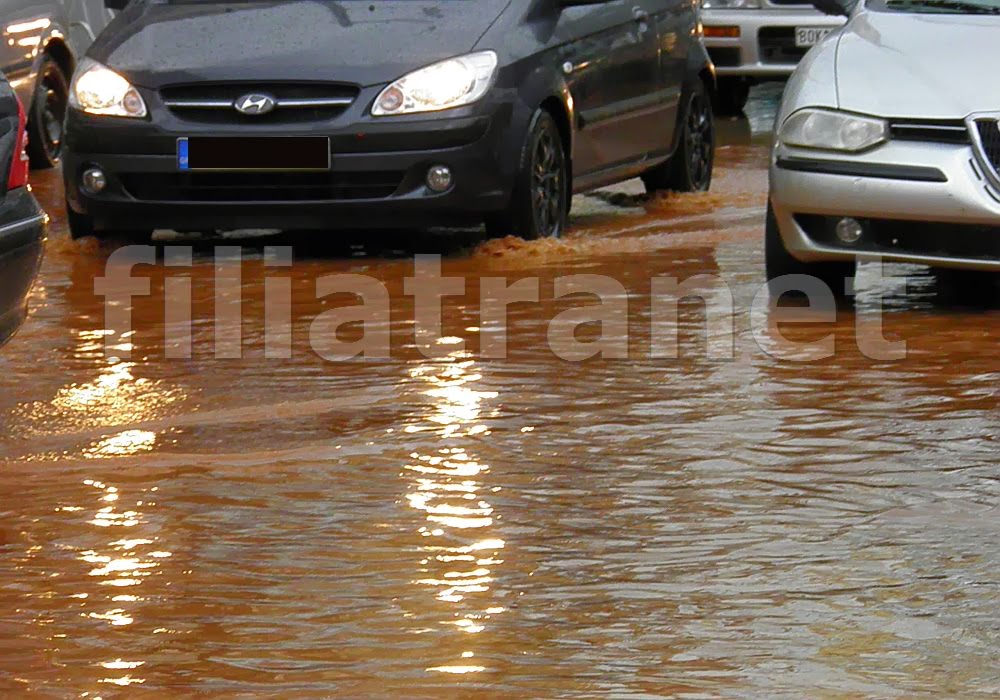 filiatranet.blogspot