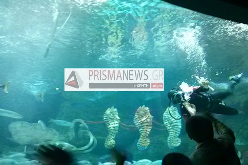 ΦΩΤΟ από το PrismaNews