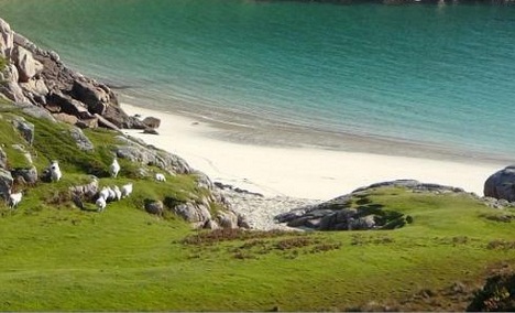 ΦΩΤΟ tripadvisor.gr