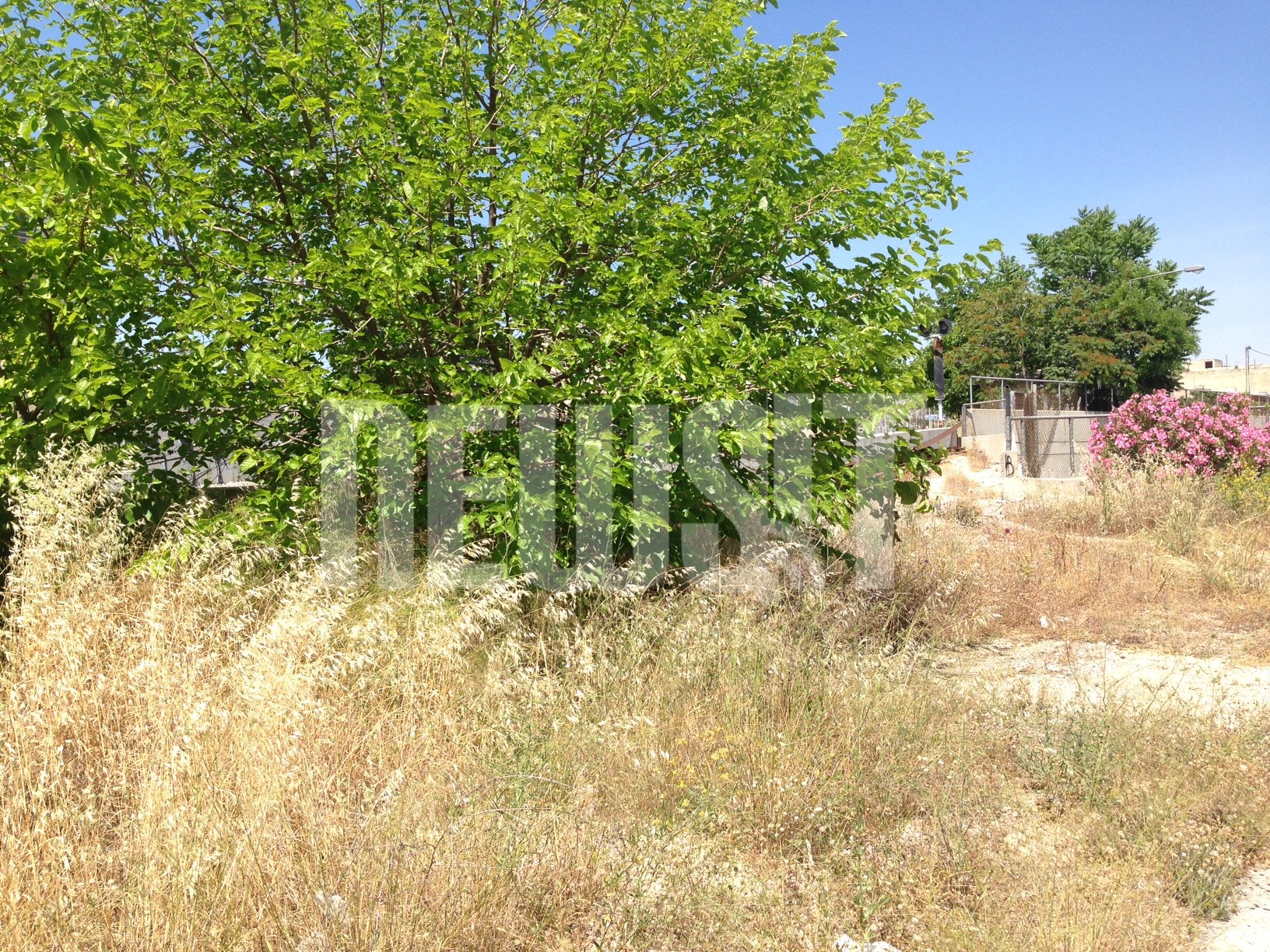 Σε αυτή την ερημιά μακριά από αδιάκριτα βλέμματα βίασε η 26χρονη την 17χρονη - ΦΩΤΟ NEWSIT 