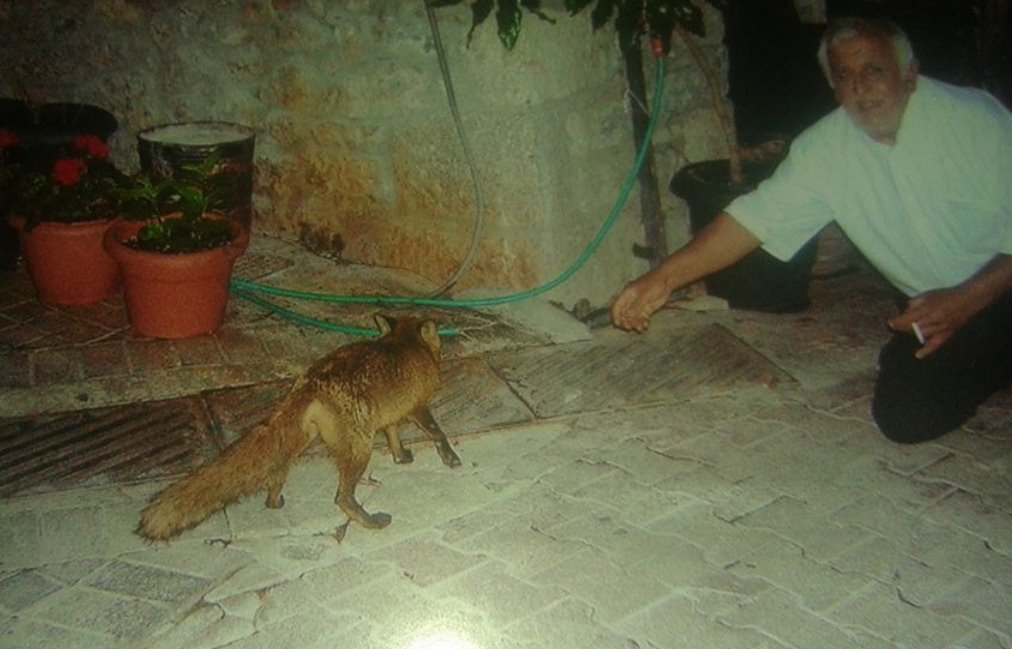 ΦΩΤΟ από το LamiaStar